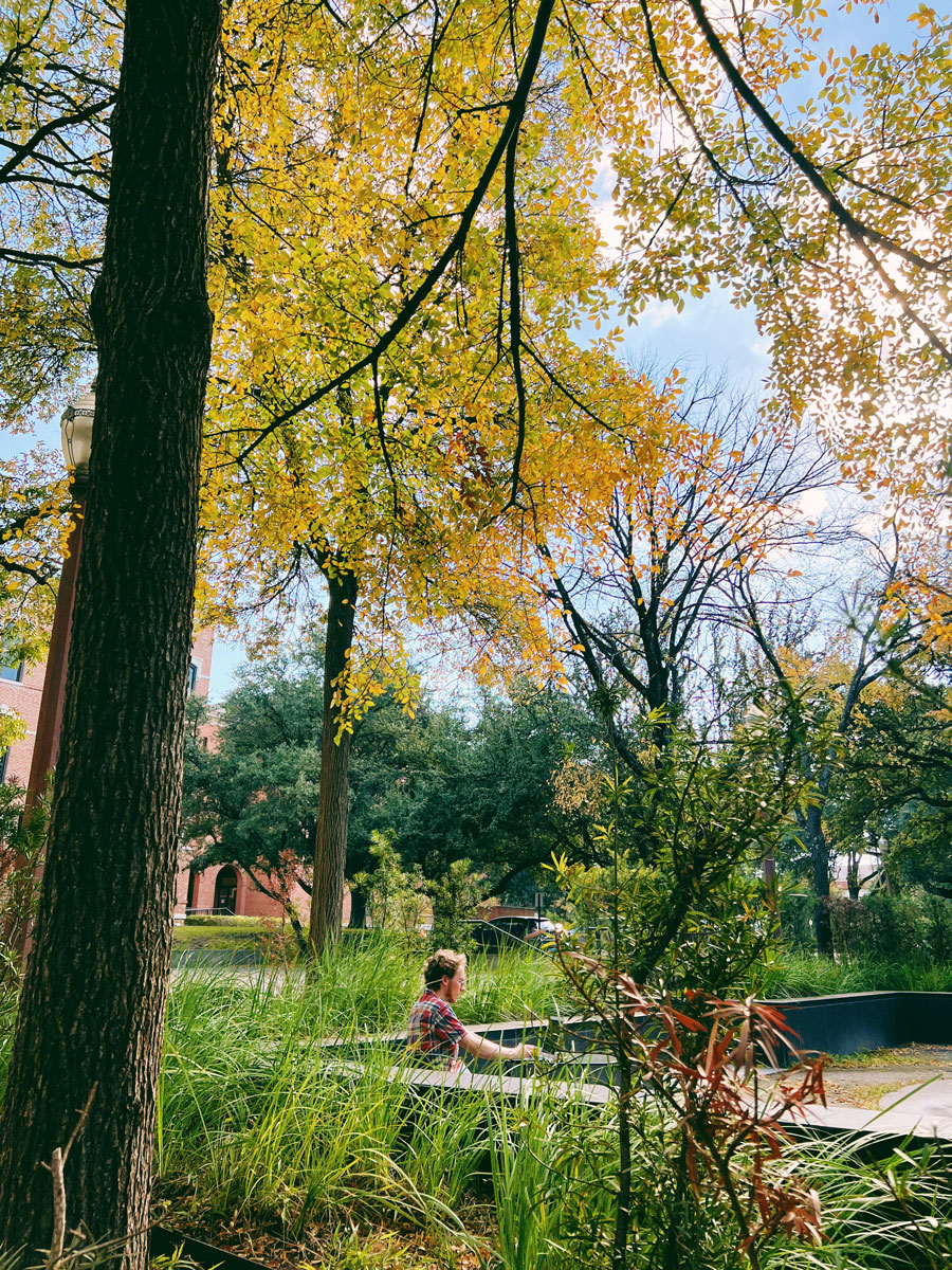 Baylor's tweet photo. Fall leaves                     Baylor campus
                          🤝                                 
                 Green &amp; gold https://t.co/DYlpYbsacU