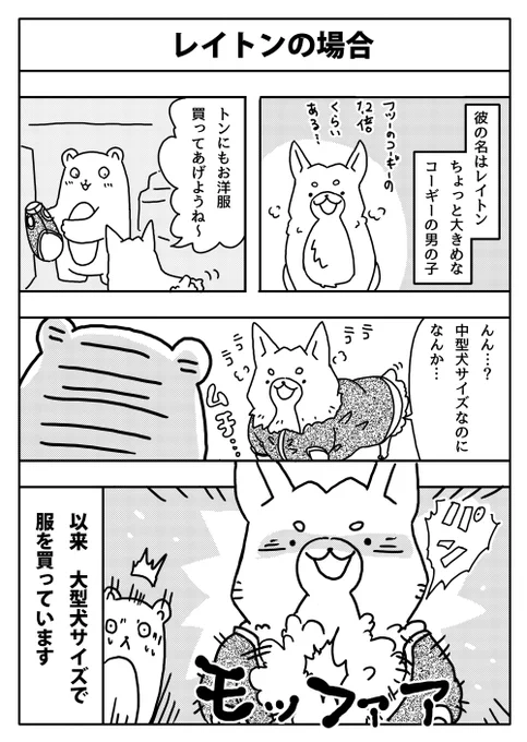 #漫画が読めるハッシュタグ #犬のいる暮らし #コーギー 規格外だった。 