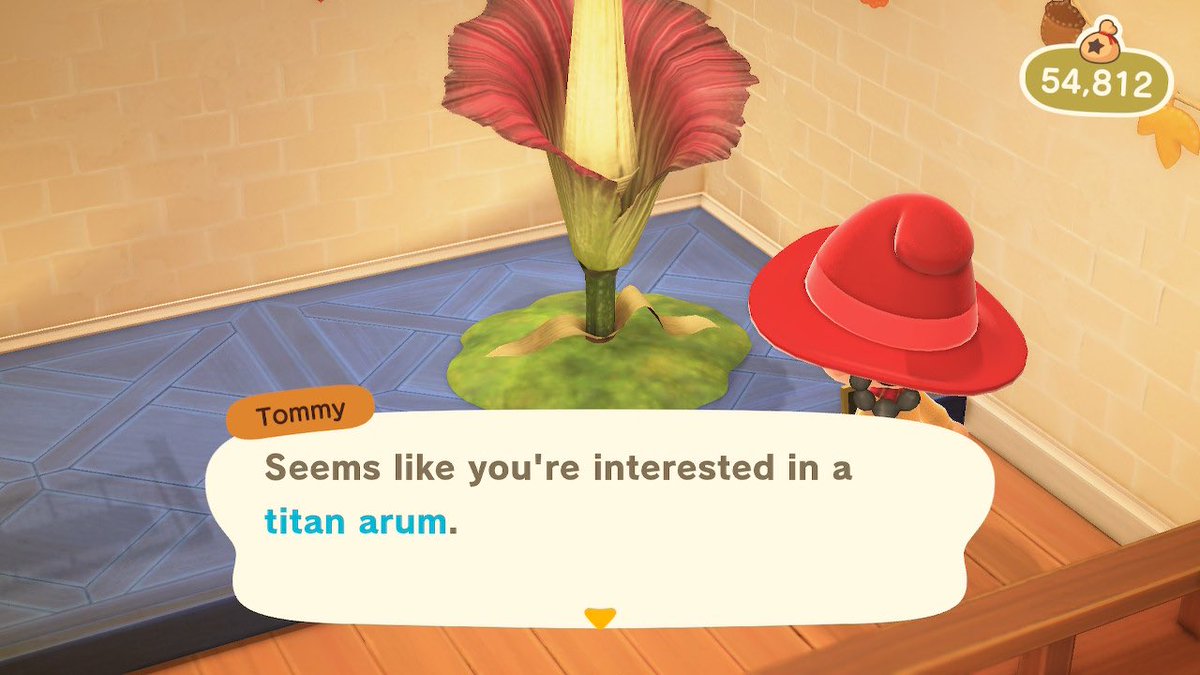 StarfallACNH_'s tweet photo. @PROdDC98 Sorry meant Titan arum https://t.co/mSN6ZF5Pmz