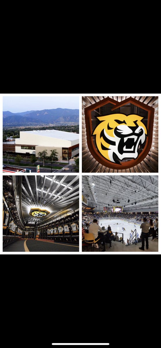 bret link tweet media