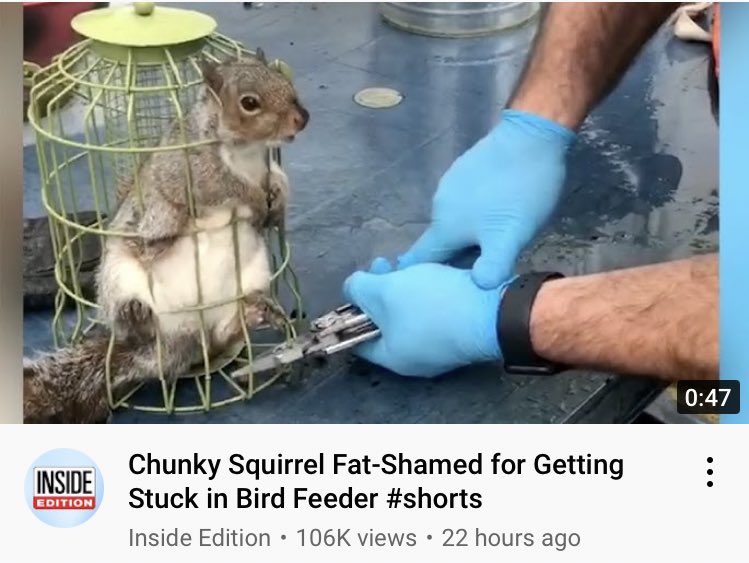 Amanda Fredette tweet media