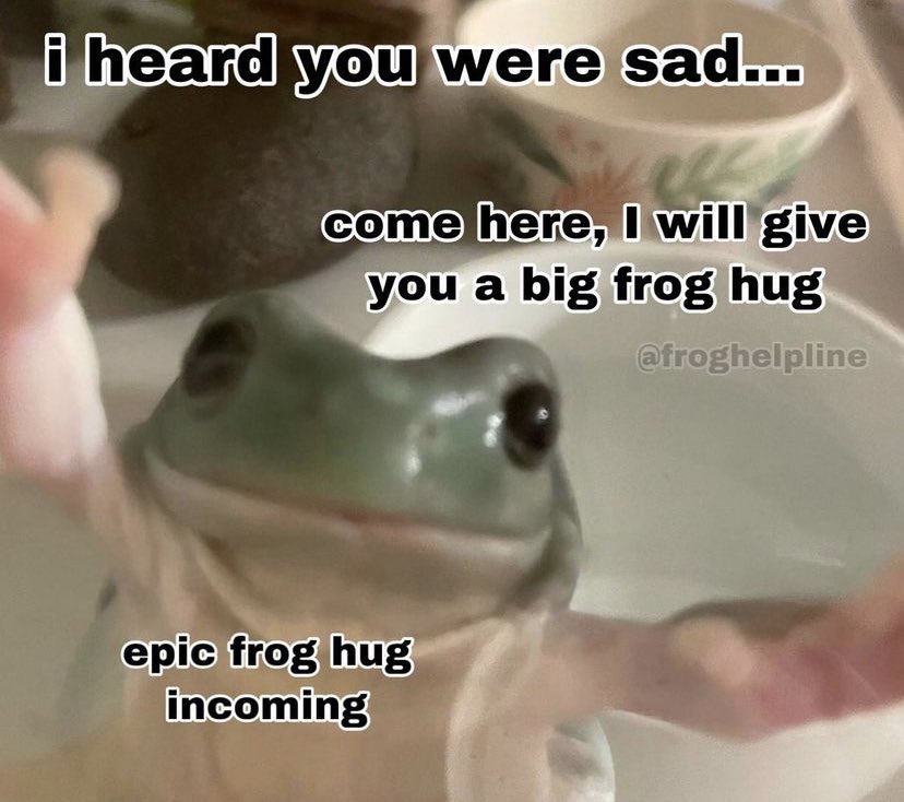 WholesomeMeme's tweet image. 