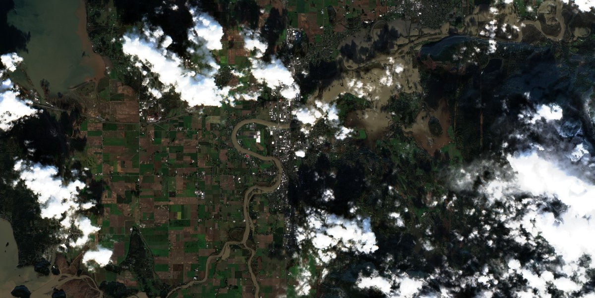 imagerydrones's tweet photo. Mostly clear shots of the Skagit River in Mount Vernon peaking today from back-to-back atmospheric rivers  accessed via @sentinel_hub at https://t.co/c4YuHiWidx @NWSSeattle #MountVernon #skagitriver #flood #Washington #PNW #wawx https://t.co/bVZeJgM6xB