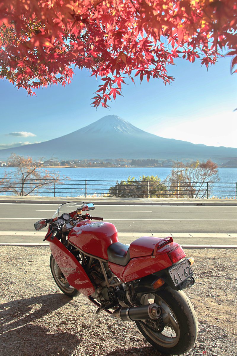 0813Katuki's tweet photo. 紅葉見てきた！ https://t.co/TPM6G9PBMi