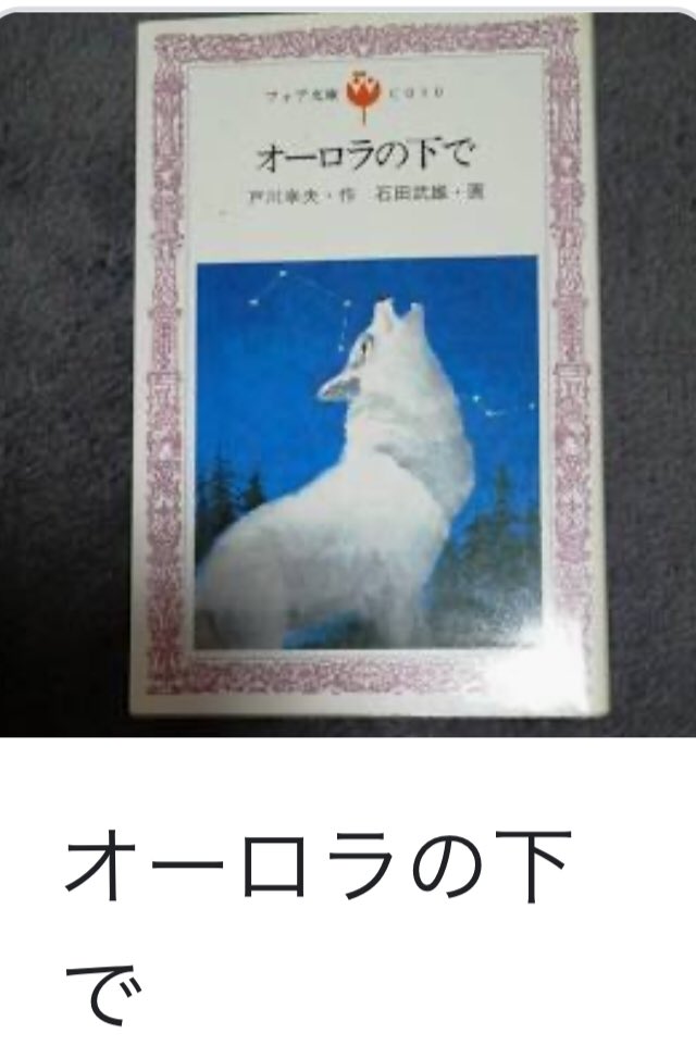 オーロラ 画像 最新情報まとめ みんなの評価 レビューが見れる ナウティスモーション 25ページ目