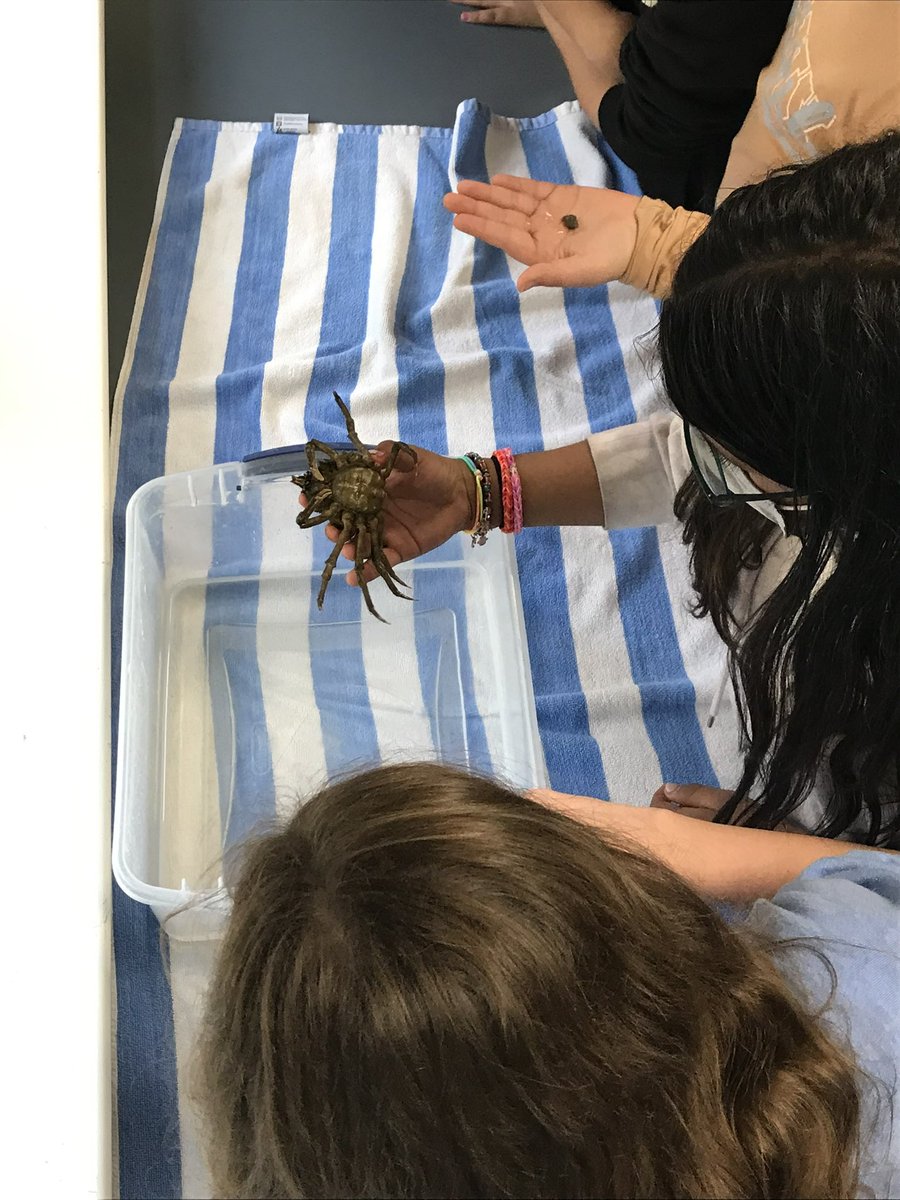 MrsMurphScience's tweet photo. The kids had an incredible time during their visit from Soundwaters yesterday!
@SoundWaters https://t.co/UqTgDVg4L7