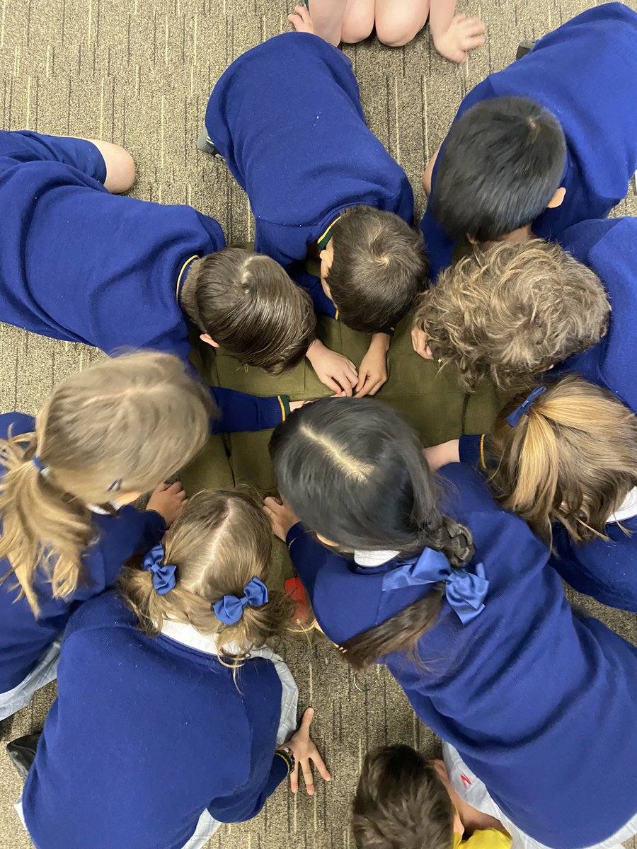 Using Remembrance Day as a provocation for our line of inquiry ‘serving others’ in our How We Organise Ourselves unit. What does it mean to serve? How do our soldiers, nurses and doctors serve us? #IBPYP #RemembranceDay