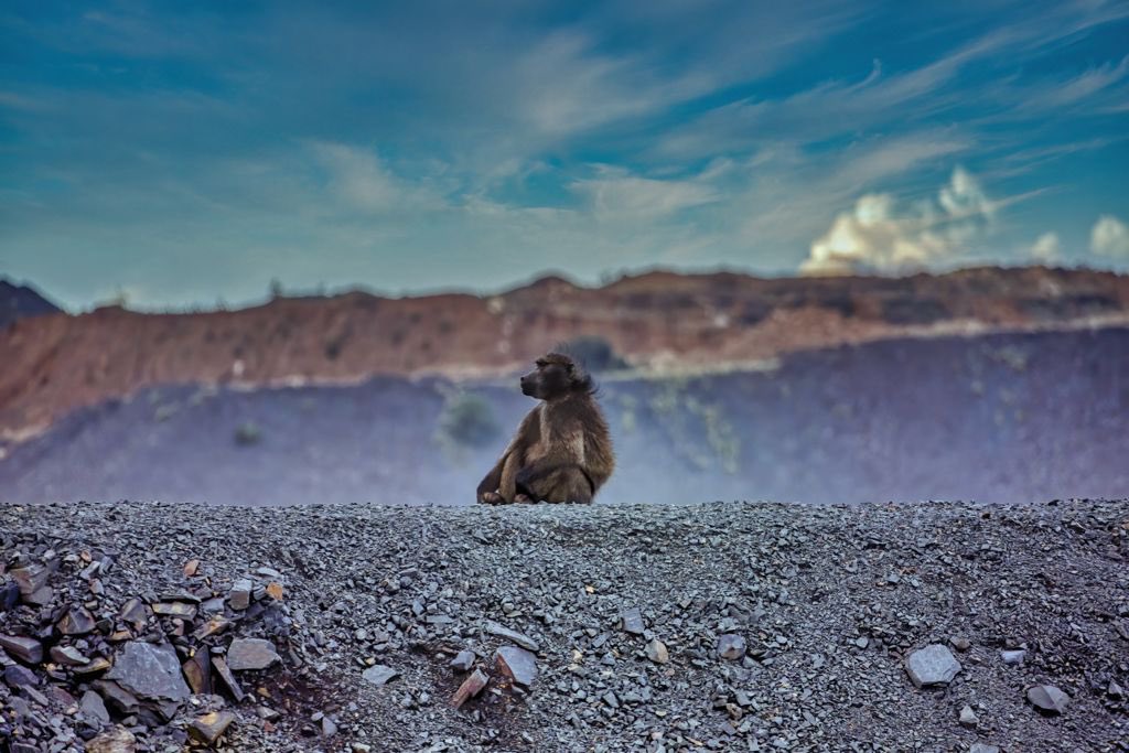KapitaListAU's tweet photo. $BEM @BlackEarthMin boosts its high-grade graphite stocks after exploration at the Maniry project in Madagascar. 🪨⛏💥

#quantityandquality #markets #criticalmineral #investing https://t.co/Q3RqjKeZGN