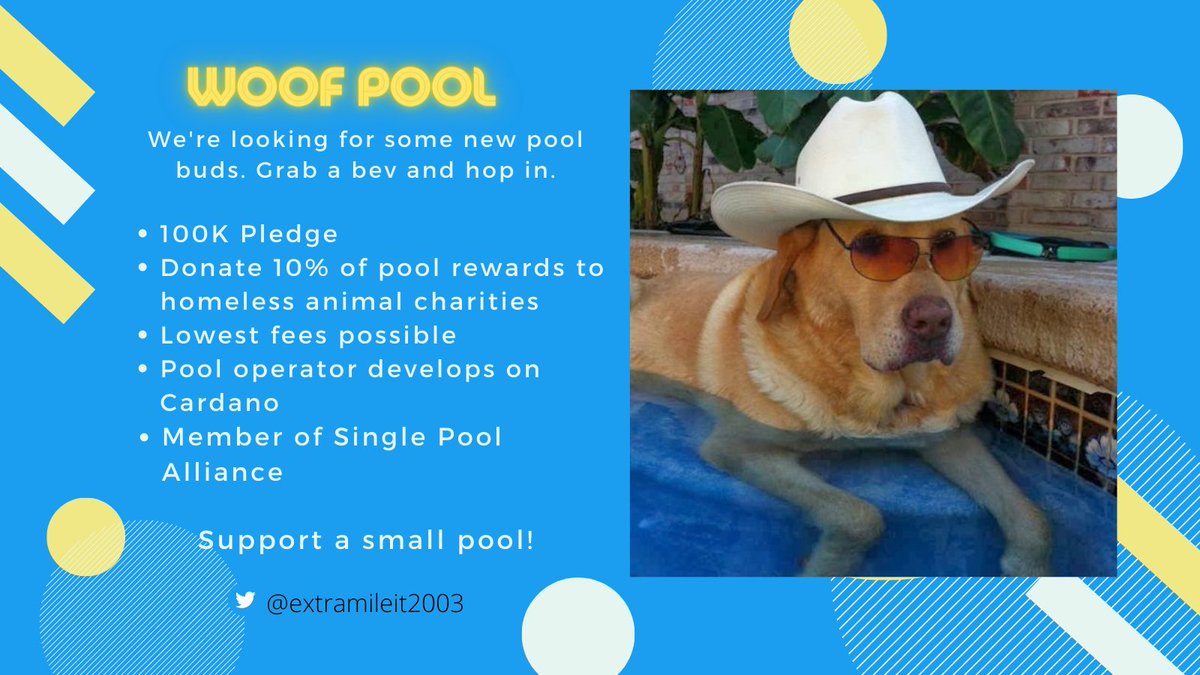 Kurt - WOOF Cardano Stake Pool 🐶🐱 tweet media
