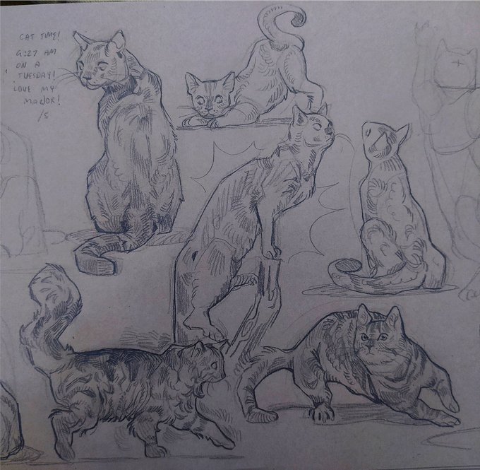 cats! homework 