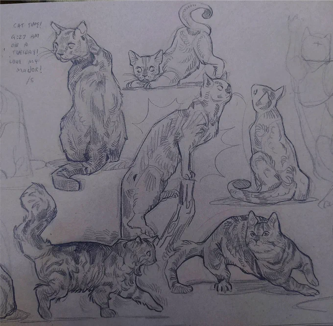 cats! homework 