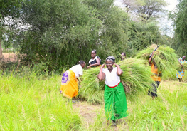 dwordsworth's tweet photo. It’s so good to see the generosity of Australians directly helping communities in Kenya with our FMNR regreening technique, how it’s giving mothers more time to care for their children and produce other income @FMNRHub @WorldVisonKenya #FridayFeeling
https://t.co/Ren7VYzoJg https://t.co/HqOaOEuyeS
