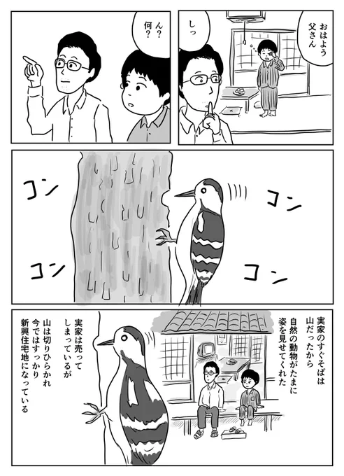 啄木鳥 