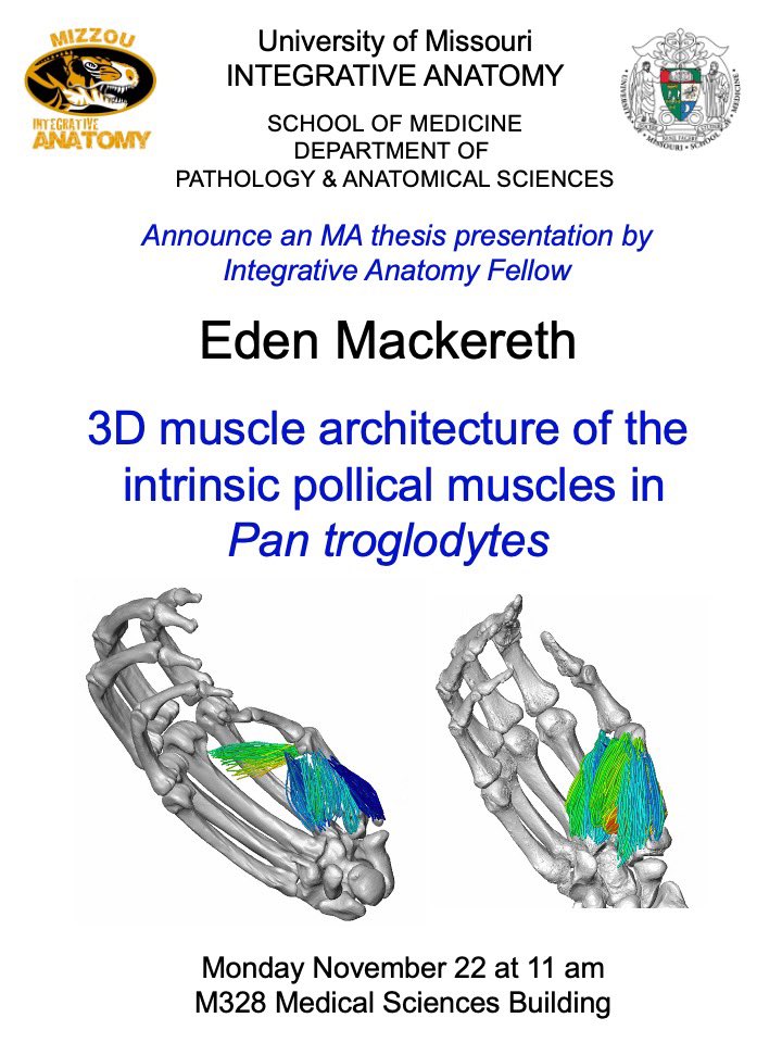 CrocHolliday's tweet photo. Thumbs up for Eden Mackareth! @AnatomyMizzou   @AnatomyGrads @wardcv @kmiddleton https://t.co/RowEIQHNEG