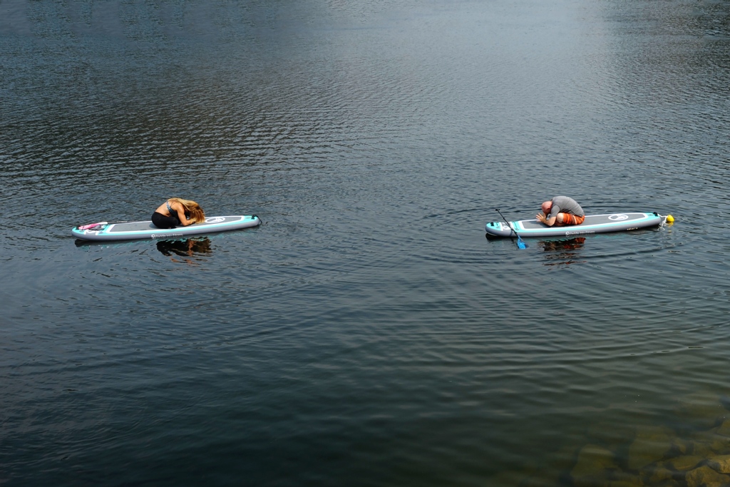 Paddle Into Fitness tweet media