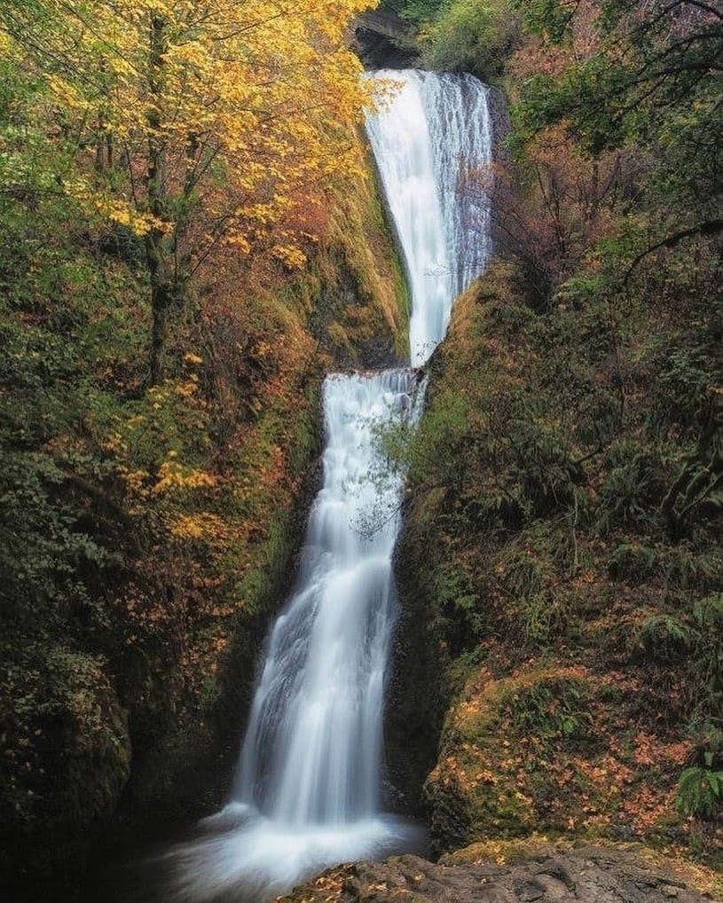 Oregonexplored tweet media