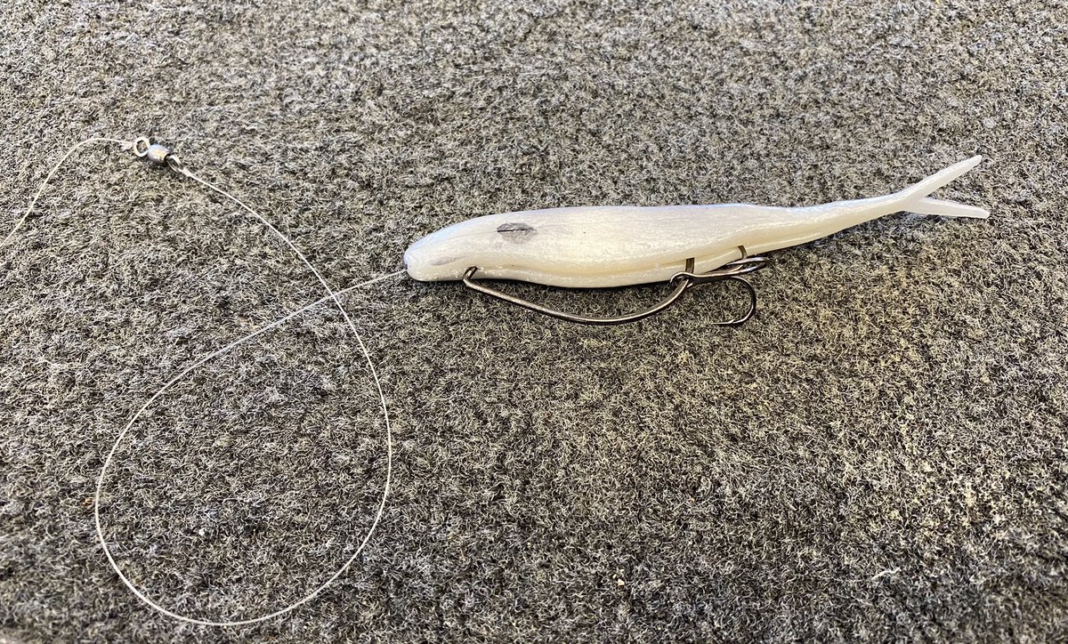 mike_Iaconelli's tweet photo. Who else love a soft plastic jerkbait in the Fall? @BerkleyFishing #jerkshad #stingerhook #swivel https://t.co/moM7Nj4ld0