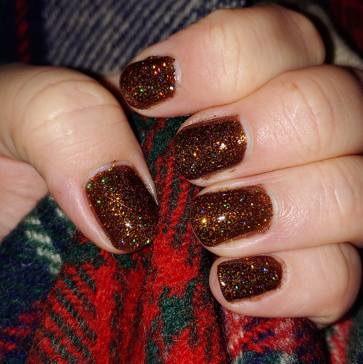 carolingiannae's tweet photo. I am ALIVE for #ChocoHolo from the new collection from @nailogical. It's all my chocolatey, pecan pie-y, autumn-y holo dreams come true. https://t.co/V2kuNWIxRG