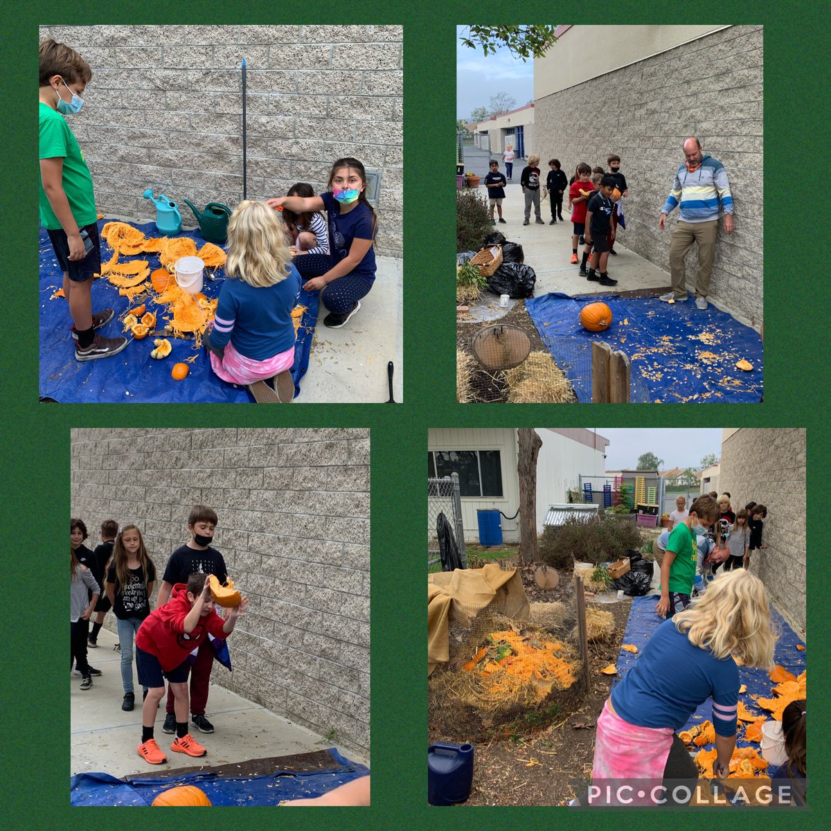 Malcom Mariners tweet media