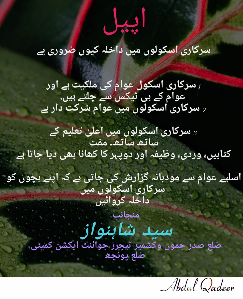 sayed_dp tweet picture