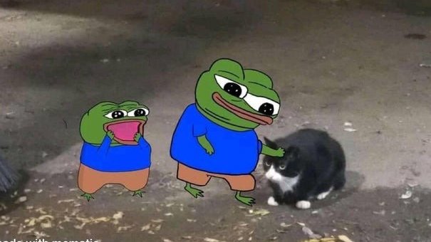 reydegonnet's tweet photo. mi novia conoce todas las casas donde hay perritos y gatitos así que cuando vamos al chino de su barrio a comprar galletitas tardamos el doble porque paramos a acariciarlos a todos https://t.co/9mt1OLudXp