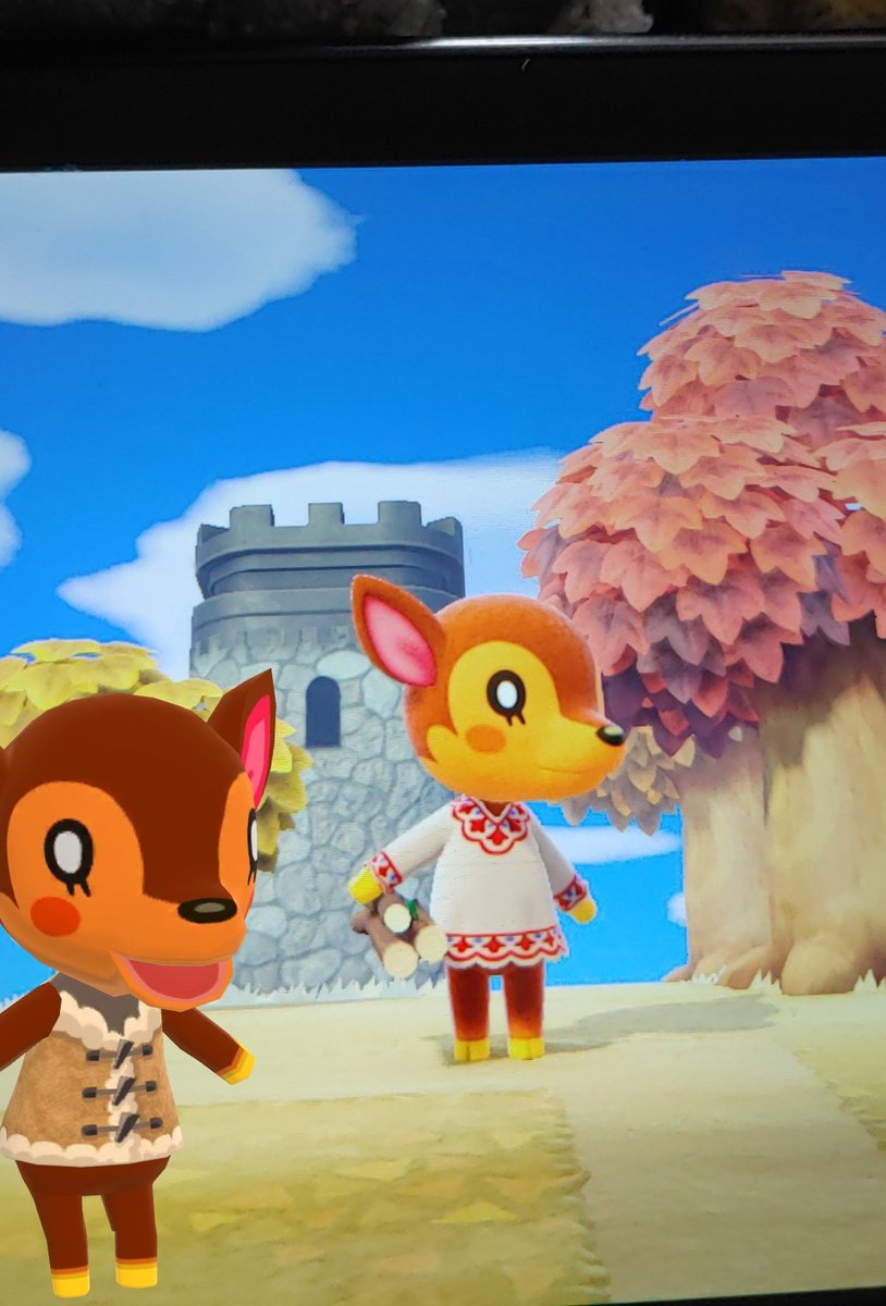 StrawPlatypus29's tweet photo. Fauna shocked that she is in 2 places at once...
#ACPCSnapshots
#ACPCSurprise https://t.co/HCVUB7ezq7
