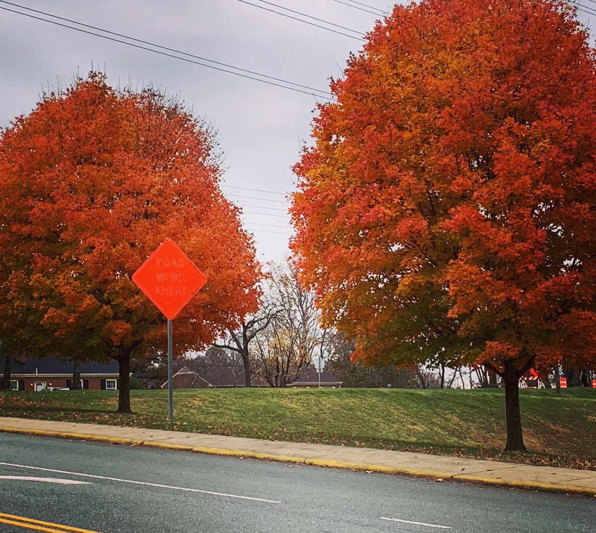mandirab's tweet photo. From our morning walk, fall in all its glory in Charlottesville. The orange road works sign just for comparison. #AutumnFalls #fallinVirginia https://t.co/qYa1BOiCvs
