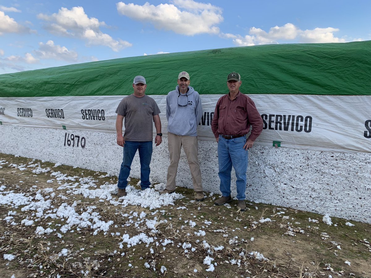 chrlstokes's tweet photo. Had a great fall day harvesting a cotton variety trial on the banks of Bear Creek in Tishomingo Co. today.  @zachyow https://t.co/76XojW13I5