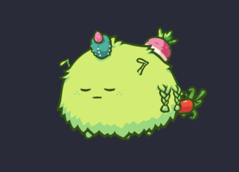 axie_elite's tweet photo. Our latest scholars team. How far do you think he will climb? 

#AxieScholarship https://t.co/1CW8F44xNo