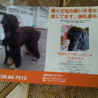gQx8RIUopnhkbUP's tweet photo. 一年、たちましち。、あきらめない、 https://t.co/Jr3RHOvvWV