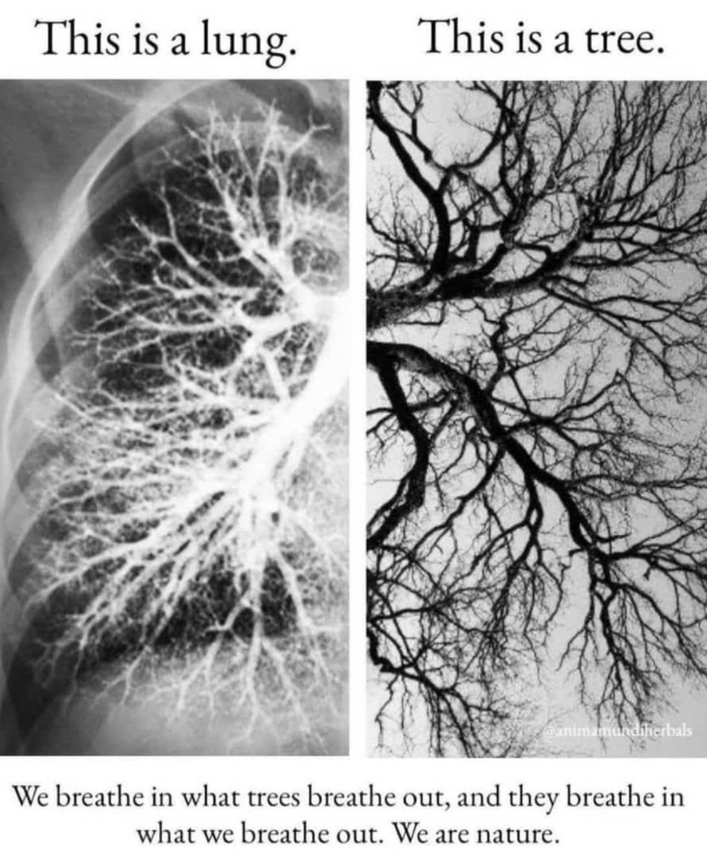 ambishhh's tweet photo. Interconnectedness of all things in this universe is a real thing to recognise and co-exist #airpollution #waterscarcity #climatechangecrisis #actionforenvironment @WWFINDIA https://t.co/FeoytKUXNR