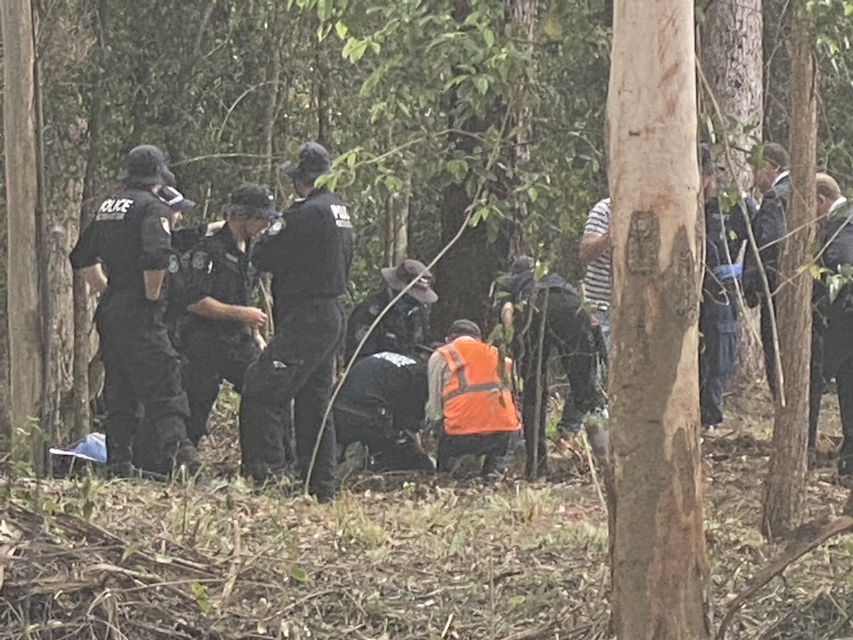 SteveHartNews's tweet photo. #BreakingNews police have found something of interest that we saw detectives compare to a Spider-Man suit they had with them it appeared to be material … more to come @10NewsFirstSyd #WilliamTyrrell https://t.co/1IYoq7KGd2