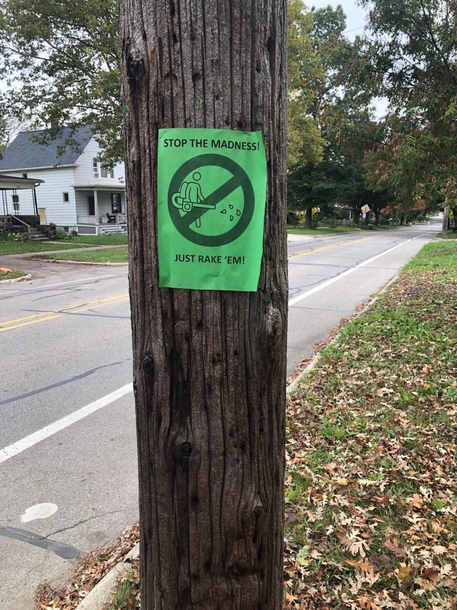 MontgrainL's tweet image. Stop the Madness, Just Rake’em lightly and help the #birds and #biodiversity #leafblowerban #leavetheleaves