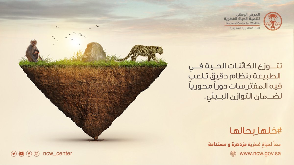 NCW_center's tweet photo. للمفترسات دور محوري في توازن بيئتنا وتحقيق استدامتها.

#خلها_بحالها https://t.co/vAO193tfse