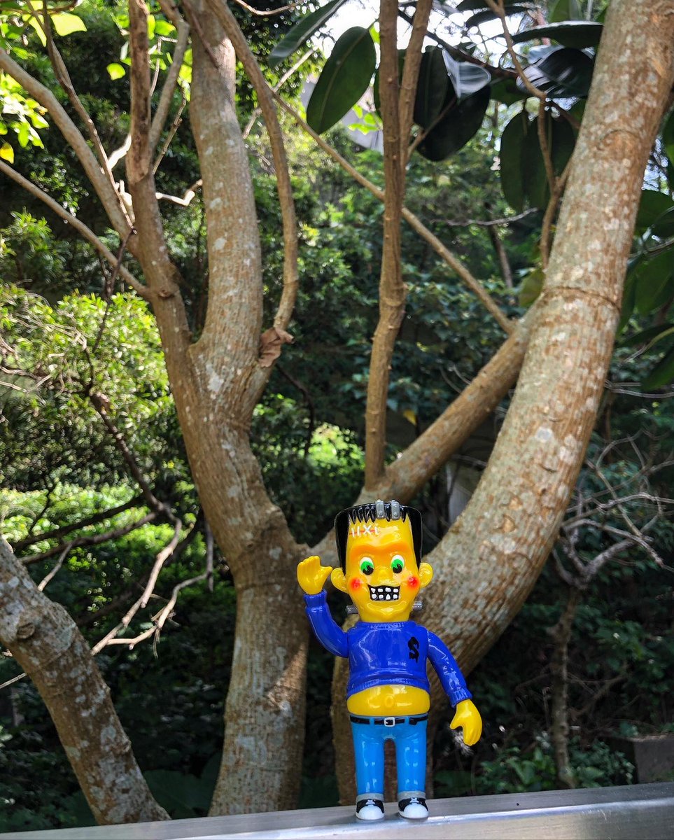 Songorr2's tweet photo. 🌈☀️☠️🌸 親親大自然 🌸☠️☀️🌈
#臣膠遊記 #songorrhiking #kaiju #eyeball #kaiju #supermantoys #ソフビ #superman_toys #sofibi #OclusBeatniks #headlockstudio #得來不易 #littlechopdesignknuckle #monsterfanclub #疫病退散 #骨君 #littlechopdesign #designtoys https://t.co/32RDXtmi10