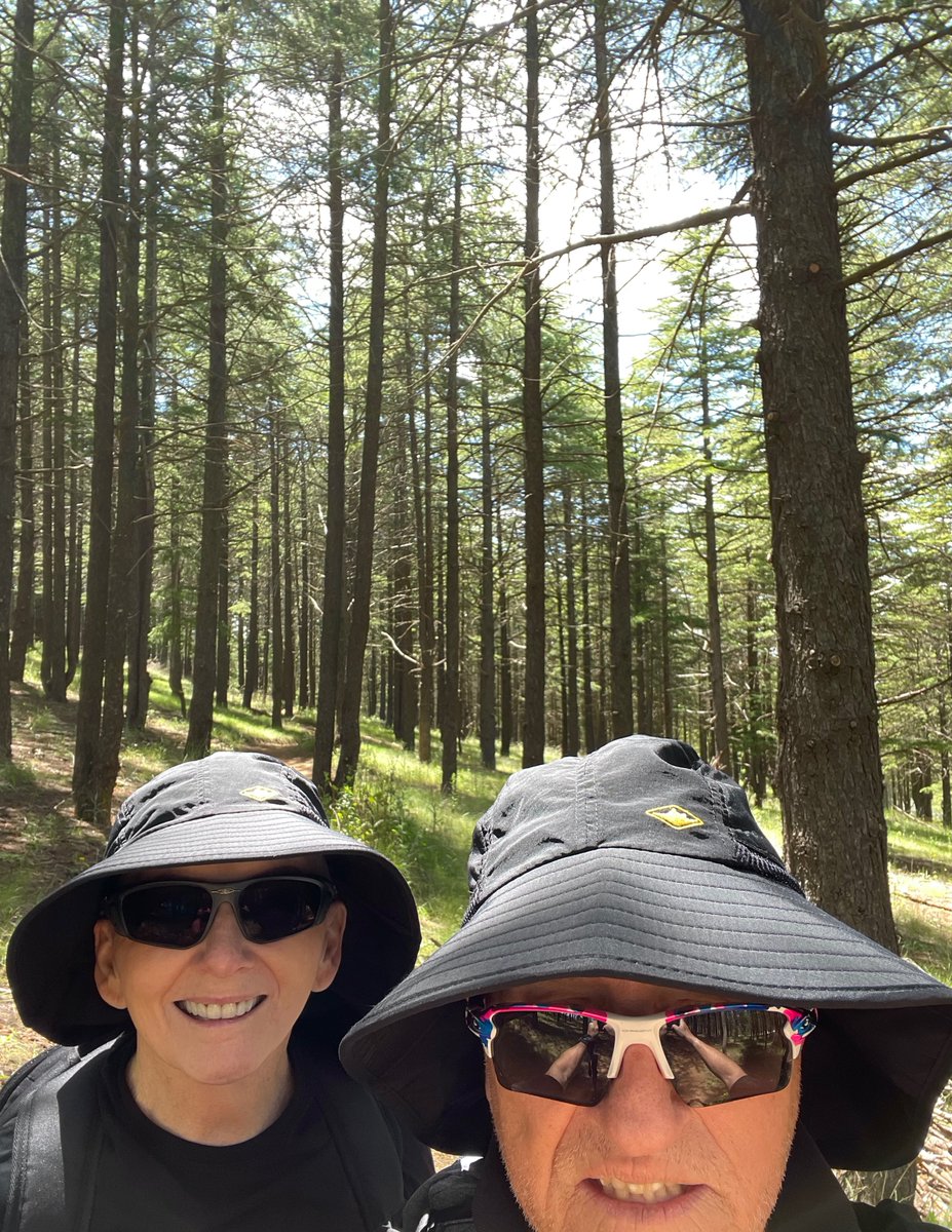 mariehjohnson's tweet photo. #CardiacMan & I knocked off another 19km today on our @IndigMaraProjct #IMFVirtualRun
At @NatArboretum #Canberra - check out those gorgeous gum nut flowers
During Nov, our challenge is to clock up 100km each
👉GUESS WHAT? We are at 90km - might need to DOUBLE the challenge https://t.co/ciaJ4Fn9PH