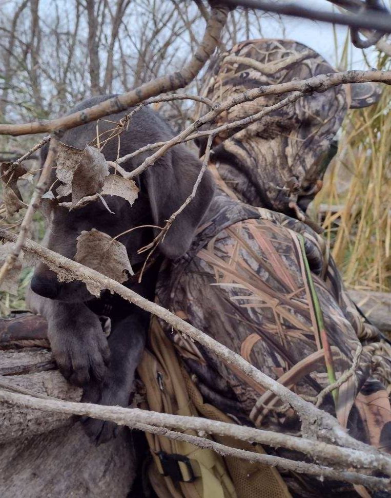 Aidan Stephenson (@rascalsniper) on Twitter photo 