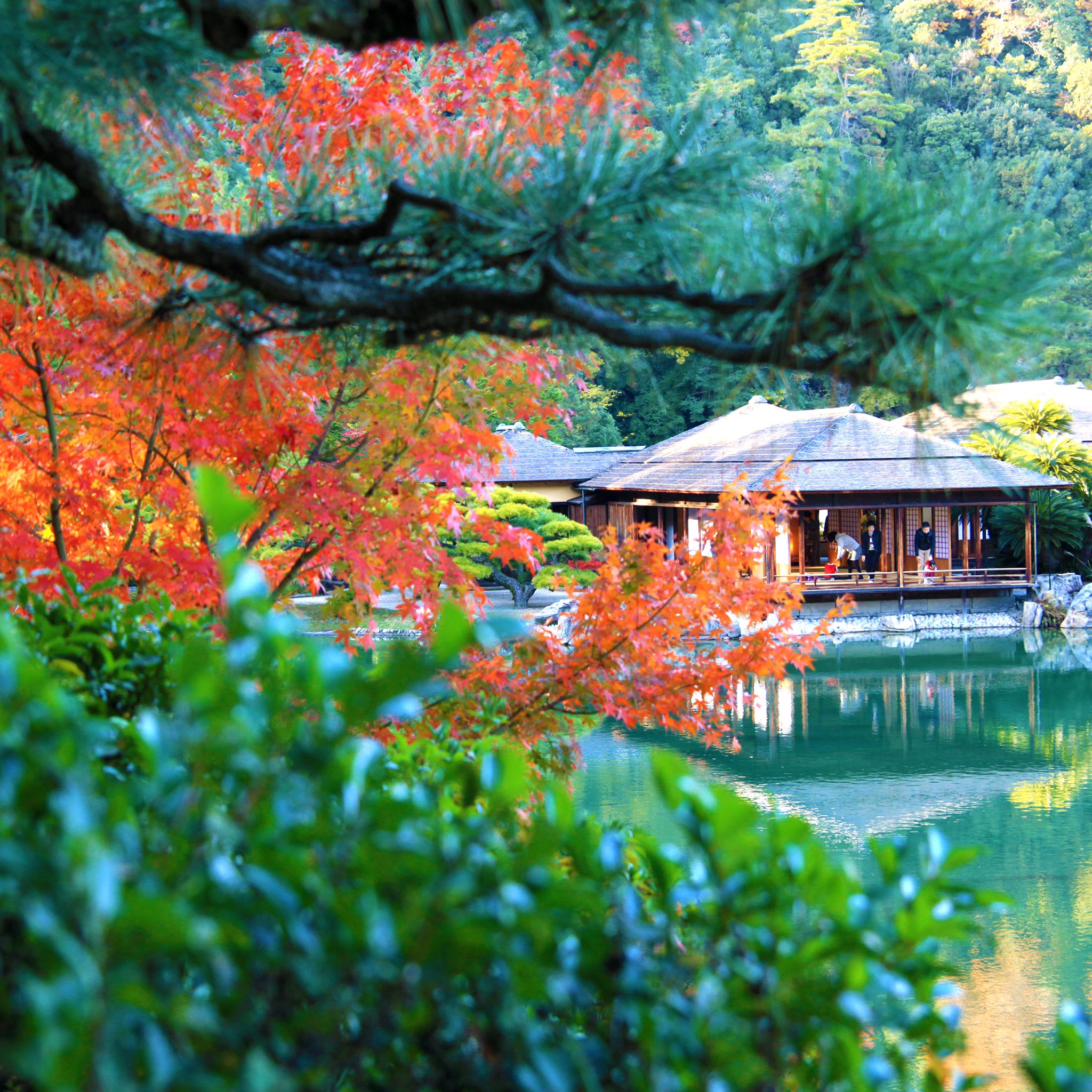瀬戸 たかまつ移住 キャリアサポートセンター 公式 瀬戸たかまつエリア紹介 高松市 紅葉の 栗林公園 香川県 高松市 栗林公園 紅葉 T Co Ghqmta57jm Twitter