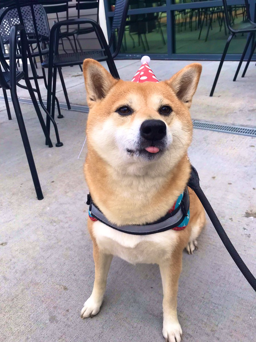 Duchess of Dutch Bros 👸🏻 tweet media