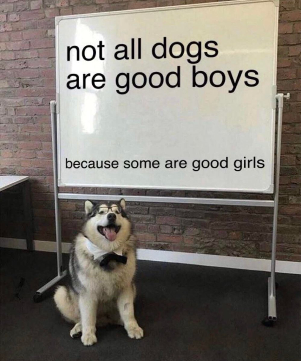 WholesomeMemes tweet media