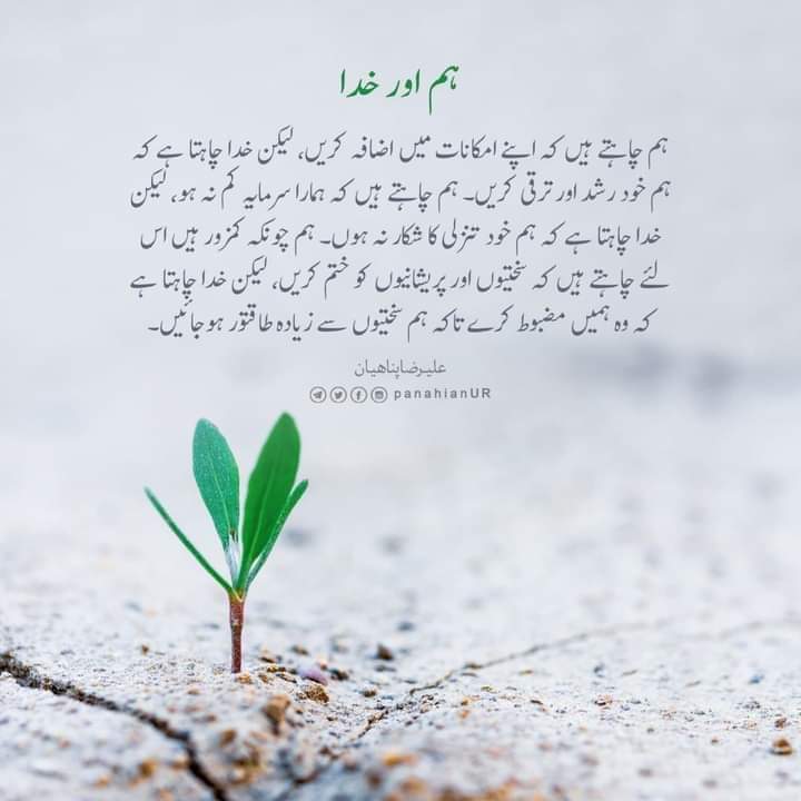 AliRashid110313's tweet photo. 💌ہم اور خدا

🍁ہم چاہتے ہیں کہ اپنے امکانات میں اضافہ کریں، لیکن خدا چاہتا ہے کہ ہم خود رشد اور ترقی کریں ہم چاہتے ہیں کہ ہمارا سرمایہ کم نہ ہو لیکن خدا چاہتا ہے کہ ہم خود تنزلی کا شکار نہ ہوں ہم چونکہ کمزور ہیں اس لیے چاہتے ہیں کہ سختیوں اور پریشانیوں کو ختم کریں لیکن خدا چاہتا https://t.co/IjyvsYU6kl