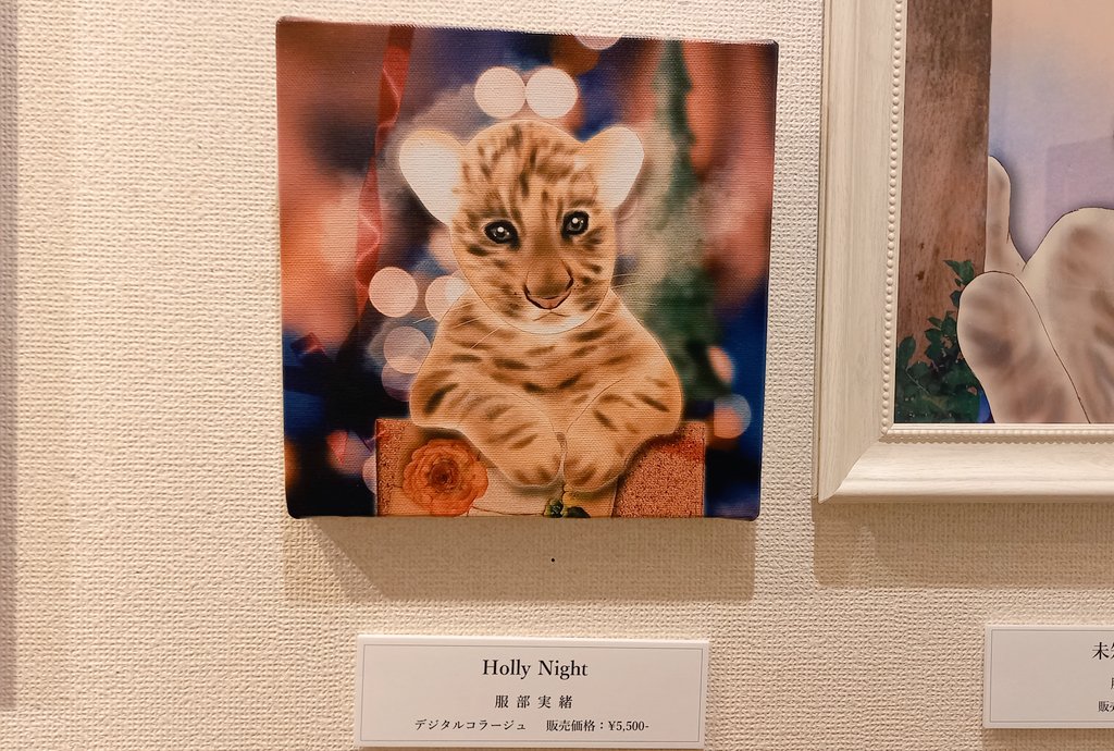 rinamatsuoka777's tweet photo. #服部実緒 さん(@httrmio)が作品を出展されている、ねこ展に行って来ました🐾千駄木駅からほど近くのギャラリー #knulp さんにて、実緒さんの温かくて可愛いくてちょいと不思議な新作2点と、猫愛に溢れたお写真達、ギャラリーの空間にとても癒された…😺今週21日(日)まで💮是非お立ち寄りください🐾 https://t.co/QvpkYj90i2