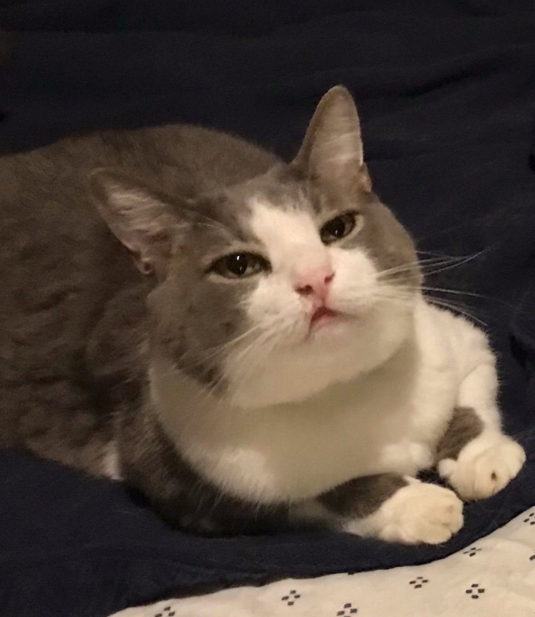 RealRuggle's tweet image. sup?