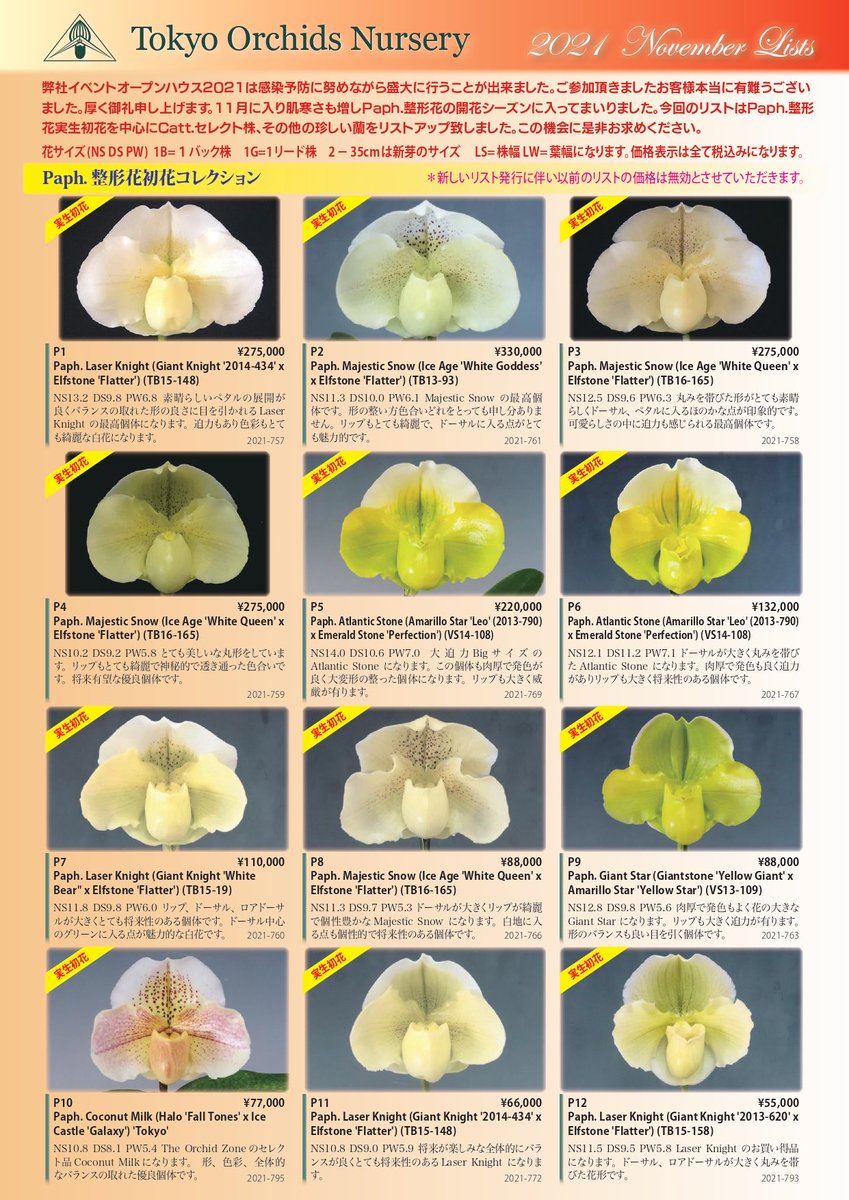 Peqr4y9jd3zppm Peqr4y9jd3zppm