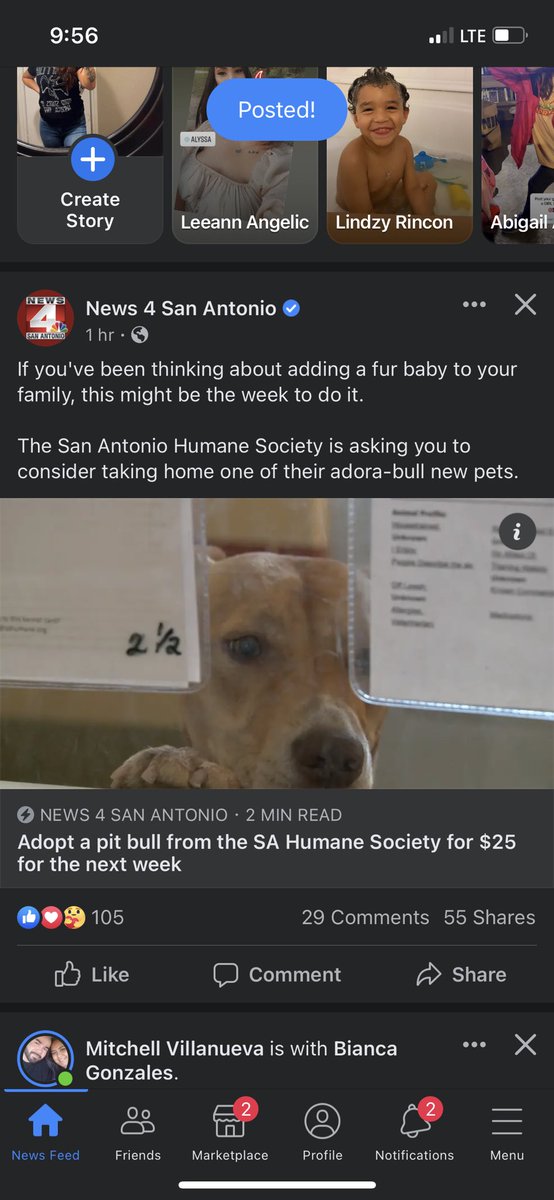 erica_snapp's tweet photo. PLEASE SPREAD THE WORD GUYS 🥺🥺 https://t.co/0C7A21DKpt