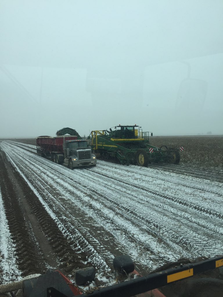 alberta429's tweet photo. @kowalchukfarms1 @AlbertaPotatoes https://t.co/eva0vDdWGZ