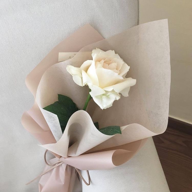 makisociety's tweet image. ͏          
          maki café 。delivery!

          for        @httpskai_
          from     katana #gandalang

ʕ•̫͡•ʔ  happiest birthday, kai. ily, imy! /p
͏ ͏