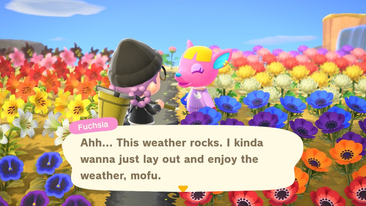 nihonchaser's tweet photo. #AnimalCrossing #ACNH #NintendoSwitch https://t.co/mgEXeeOybR