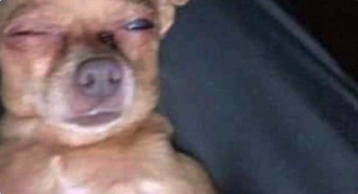 Guarromantico_'s tweet photo. Yo a las 3 am viendo memes con un solo ojo porque el otro ya se durmió. https://t.co/EIoa1rWzcM