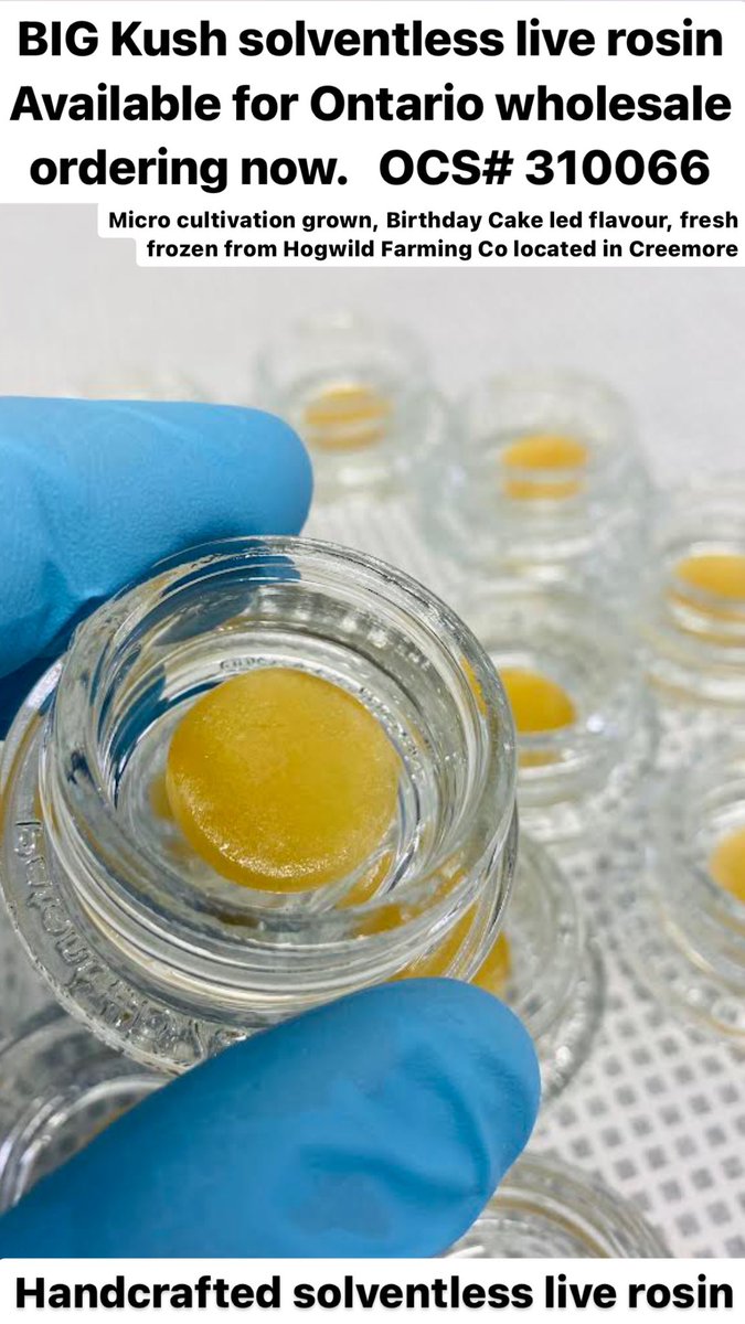 Scott Walters tweet media